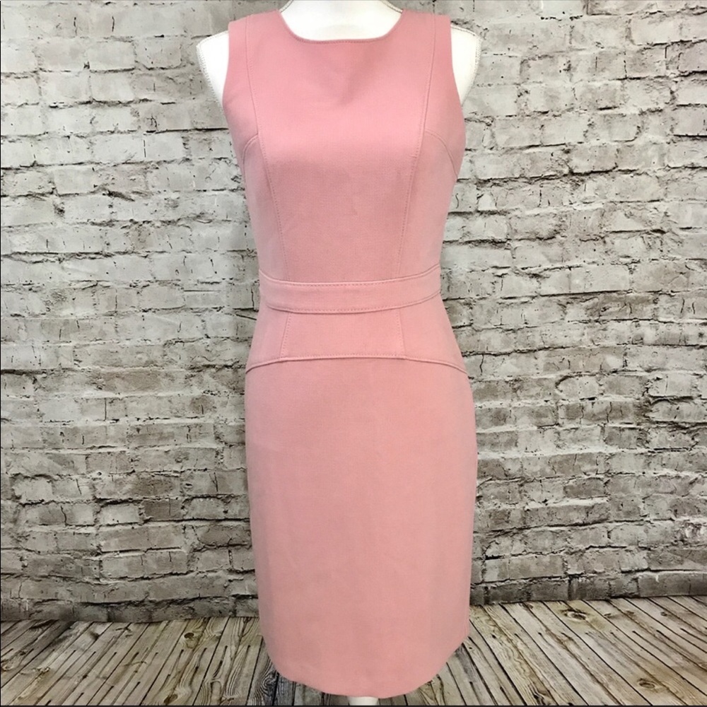 Ann Taylor Loft Tall pink sheath dress Size 2 T